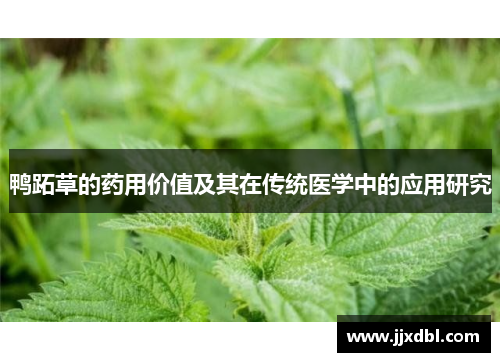鸭跖草的药用价值及其在传统医学中的应用研究